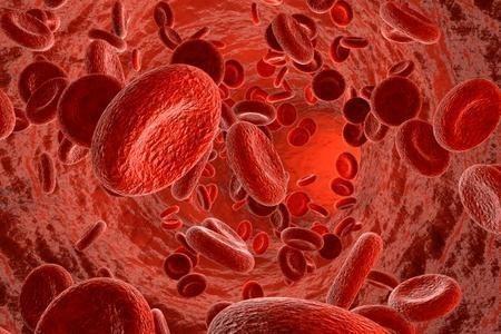 che cos è il sangue? Il sangue è un fluido indispensabile per la vita e non è al momento riproducibile in Laboratorio.