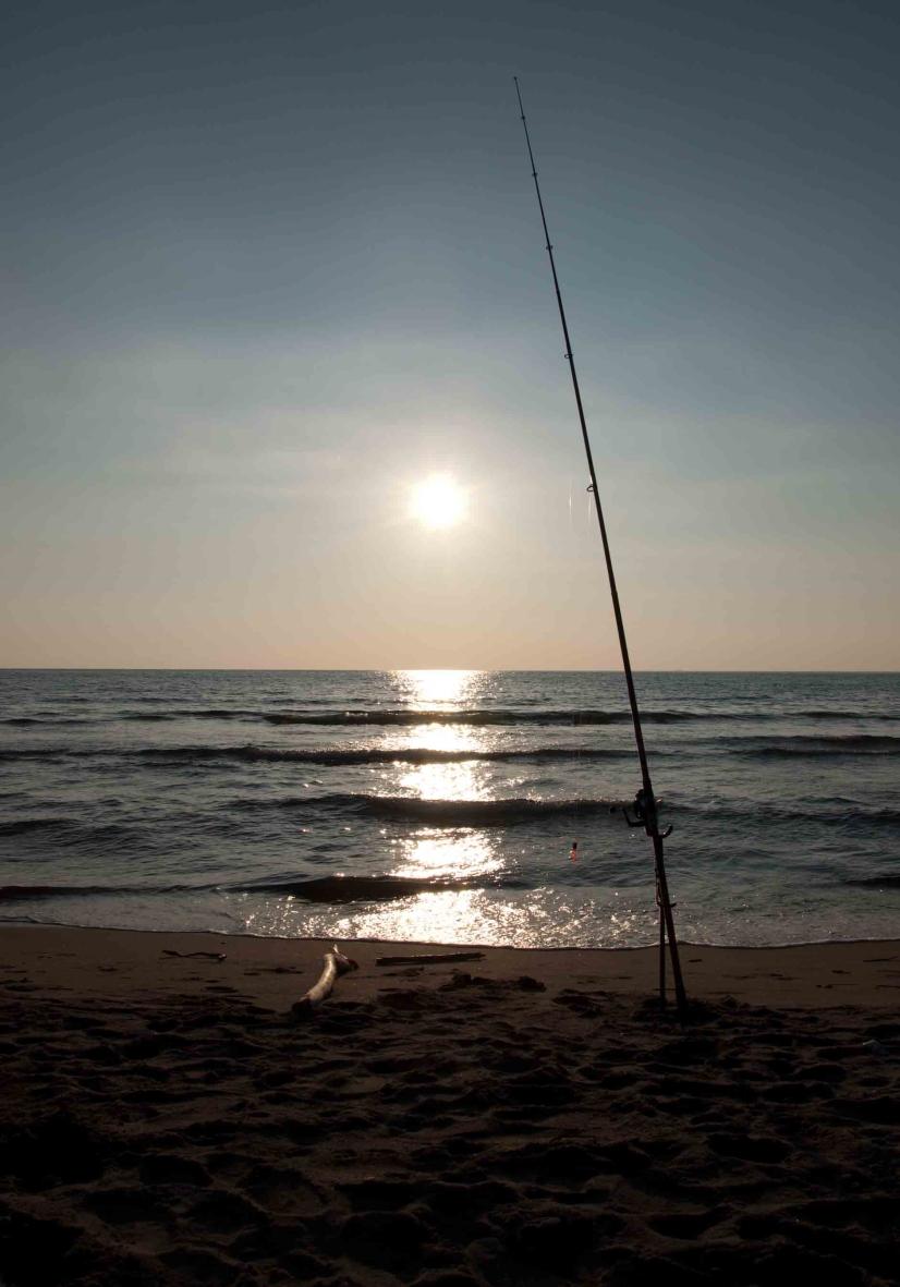 Fotografia by Stefano Petrocchi Vacanze al Forte Informazioni: Comune di Forte dei Marmi: Piazza Dante, 1 - tel. 0584-2801 email: info@comunefdm.it website: http://comune.fortedeimarmi.lu.