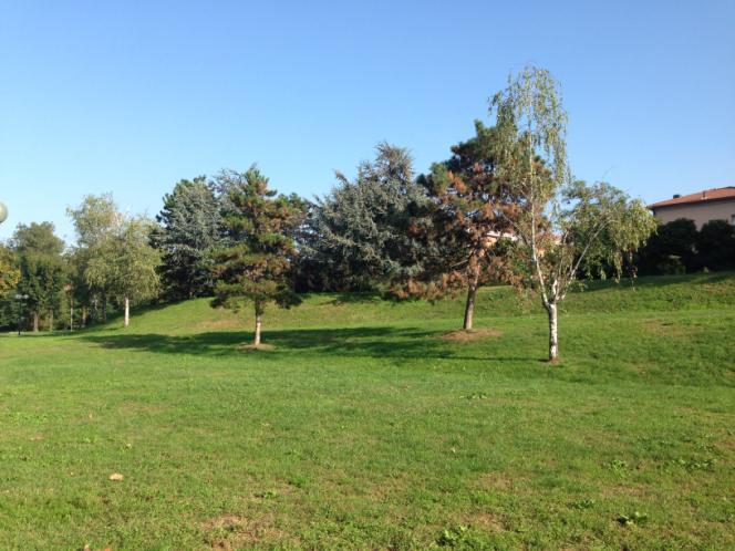 Tra le due strade laterali, verso la fine del percorso, altri alberi non censiti in quanto posti in una area privata.