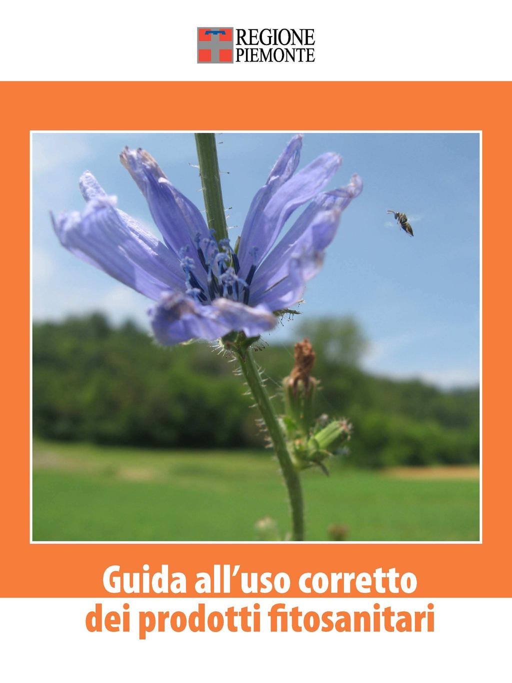 Analisi delle possibili misure Dalle buone pratiche alle prescrizioni Buone Pratiche Codice di Buona Pratica Agricola per l utilizzo dei prodotti