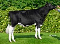 aaa: I Nato il: 24.09.16 family: to - mar wayne hay ex-90 mome Wil 19334 DE000539619334 superstar (Halogen X Supersire) C. 5.11 Wonne 126 balisto epic DE000537522590 LṞ HR farm Punti - approved - M.