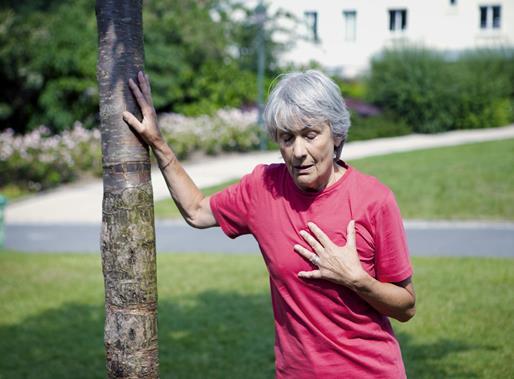 FINO ALLA MENOPAUSA LE DONNE SONO AIUTATE DALLA PROTEZIONE ORMONALE, IN SEGUITO, LE DONNE VENGONO