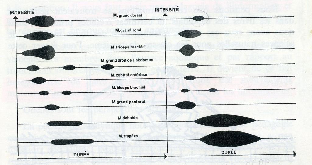 La costruzione del