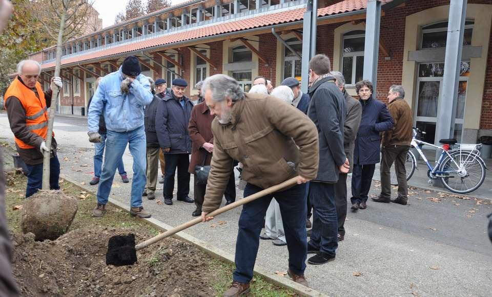 LA CRESCITA DELLE PIANTE E QUELLA DELLE PERSONE (il concetto di cura) 2014