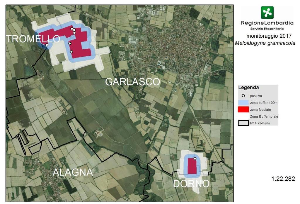 Monitoraggio zona focolaio