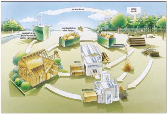 La logica a cascata Favorire la ripresa di una gestione forestale attiva significa: mobilizzare l offerta interna, orientandola verso prodotti a