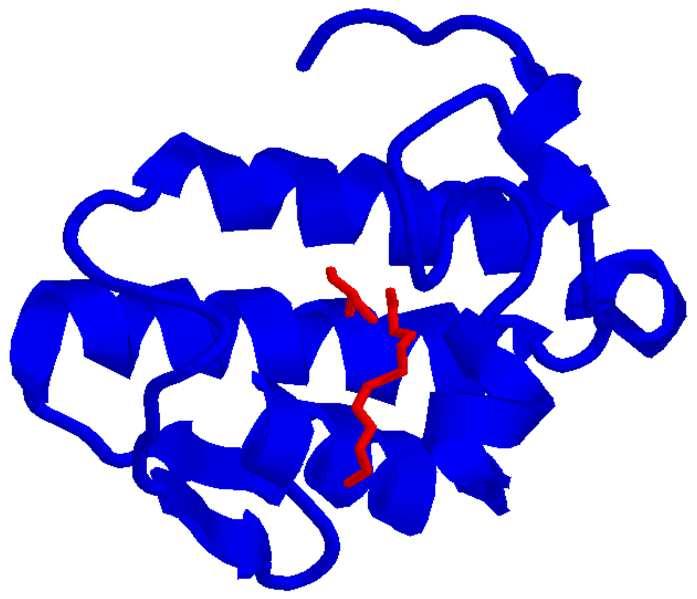 Fosfolipasi A 2 (EC 3.1.1.4) 1S8G B12 - v.