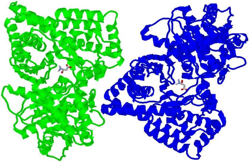 2.0 gsartor 2001-2019 Metabolismo dei grassi - 52-52