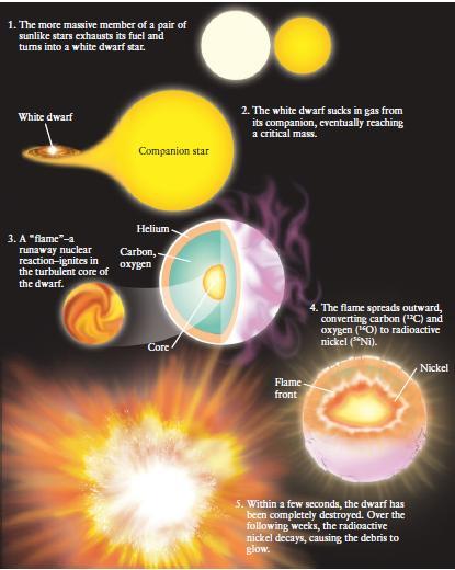 Una differenza fondamentale tra le supernovae Ia e le altre è che l energia