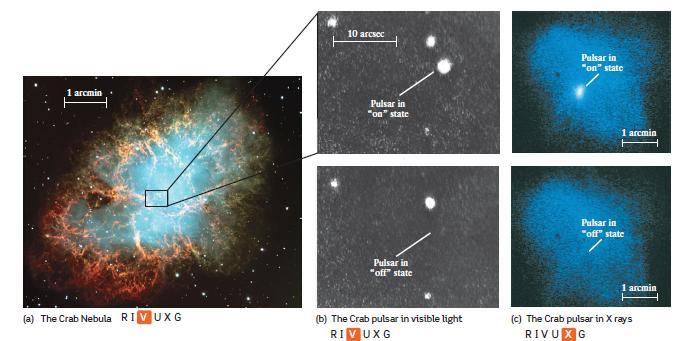 Stelle di Neutroni Resti di Supernovae Le pulsar emettono anche ad alte frequenze.