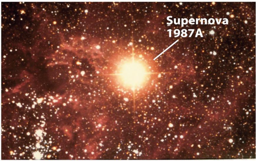 Supernova 1987a La SN1987a e stata l ultima supernova ad esplodere in prossimita della nostra galassia