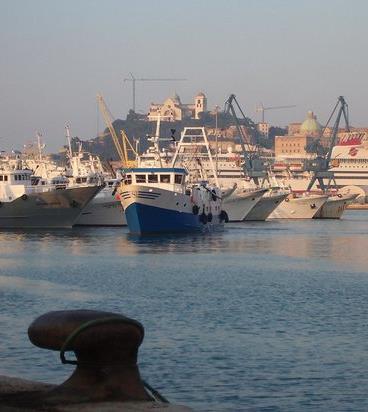 Nel capoluogo marchigiano torna Tipicità in Blu 2019, per vivere da vicino le suggestioni dell Adriatico!