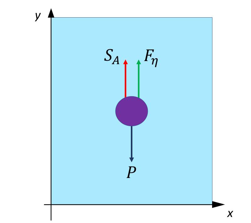 ESERCITAZIONI FLUIDI Esercizio 4 forza di Archimede e attrito viscoso Si calcoli il coefficiente di viscosità η di un liquido sapendo che la sua densità è ρ L = 1 g/cm 3 e che un corpo sferico con