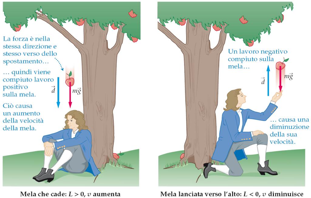 2. Energia cinetica e teorema dell energia cinetica Quando il lavoro totale compiuto su un oggetto è positivo, il modulo della sua velocità aumenta; quando il lavoro totale è negativo, il modulo