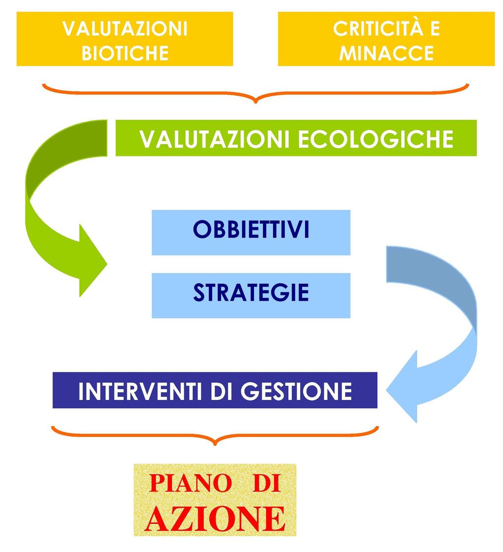 PIANODI GESTIONE SEZIONE 2 5 spesso la presenza di valori naturalistici per i quali il sito è stato individuato e ritenuto di importanza comunitaria.