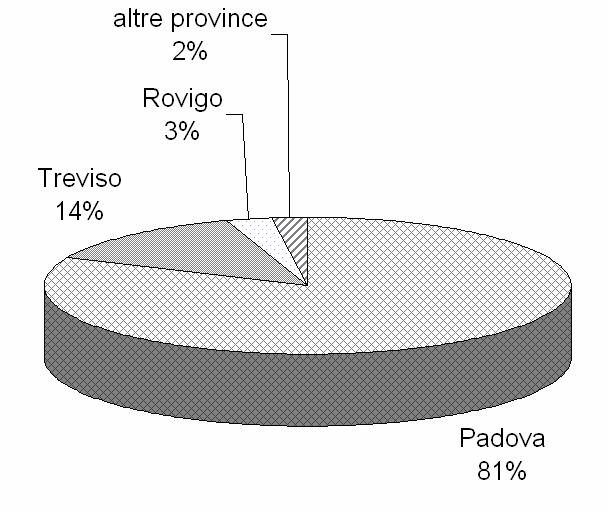destinazione del 48% di tutti gli spostamenti generati in provincia (per paragone, Mira ne attrae solo il 2,6%).