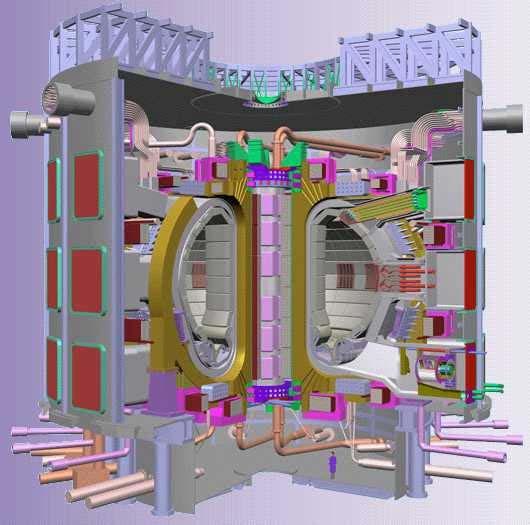 La Macchina ITER: descrizione Cooling Pipes Toroidal Coils Cryostat Blanket