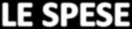 TITOLO DENOMINAZIONE 2019 2020 2021 1 SPESE CORRENTI 11.125.913,13 11.088.123,13 11.101.023,13 2 SPESE IN CONTO CAPITALE 430.200,00 462.900,00 367.