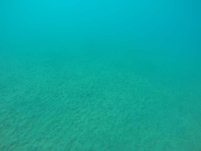 superficiali (o in bassa profondità) si estendono fino a 4 metri di