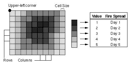 Tecniche di rappresentazione dei dati: Formato Vettoriale, Formato Raster Struttura dei dati Formato Raster: Viene utilizzata la cella (pixel) come unità fondamentale di informazione.