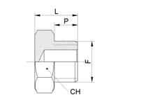 Tappo maschio cilindrico Male plug (parallel) Code F CH P L Gr.