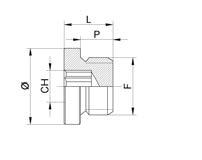 E26134NI 3/4 30 11,0 16,5 55,6 E2611NI 1 40 12,0 18,0 88,0 Tappo maschio conico Male plug (Taper) Code F1 CH P L Gr.