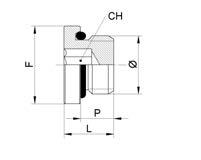 Tappo testa cilindrica esagono incassato ottone con OR Cylindrical head plug with embedded brass hexagon with OR Code F CH P L Ø Gr.