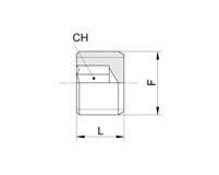 Tappo maschio cilindrico Male plug (parallel) Code F CH L Gr.