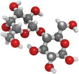 Allergie e intolleranze alimentari Intolleranza al lattosio È caratterizzata dall incapacità presente in alcuni individui di digerire il lattosio, con sintomi gastrointestinali