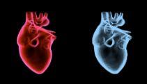 (lipoproteine che trasportano il colesterolo) specie in menopausa, aumenta il rischio cardiovascolare Trigliceridemia: una quantità eccessiva di trigliceridi (grasso presente nel sangue) aumenta il