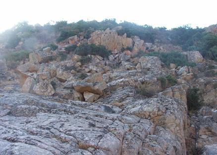 FENOMENI ATTIVI RAPIDI: FRANE DI CROLLO Litologie interessate: Metamorfiti e rocce granitiche