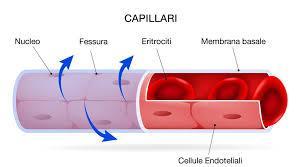 centrale Funzione: adibito alla diffusione di