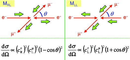 Sezione d urto e + e - Z 0 e + e - Z 0 (=m) d d Z (c e V )