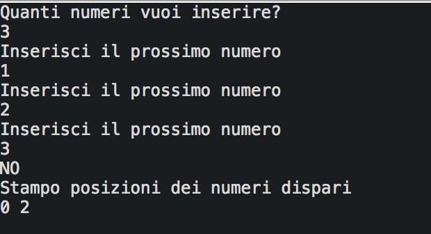 ESERCIZIO 1(2) Esempio di output ATTENZIONE: L inizializzazione dell array contenente le posizioni (new int [dim]) deve avvenire