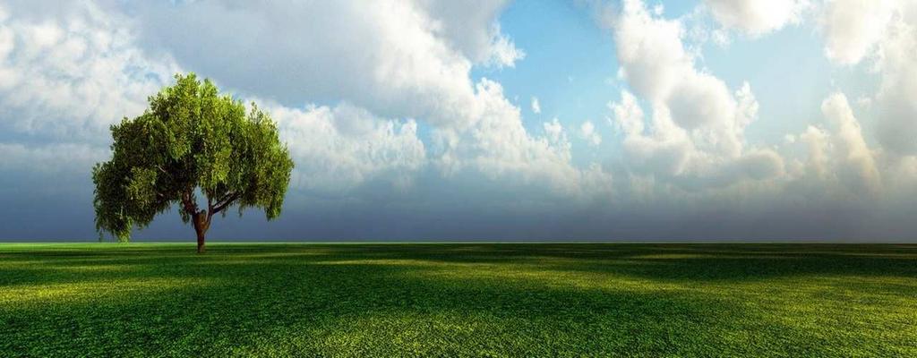 Si occupa del rapporto dell uomo nei confronti della natura.