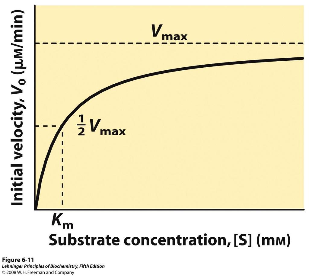 Velocità iniziale v 0 (μm/min) Inserendo in un grafico i valori di v 0 ottenuti per le diverse [S] utilizzate ottengo una curva iperbolica Alte [S]