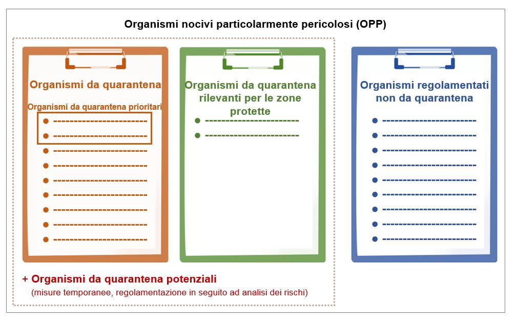 alla piantagione.