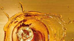 Allo stesso tempo la cristallizzazione dell olio aumenta la resistenza all abrasione e l idrorepellenza.