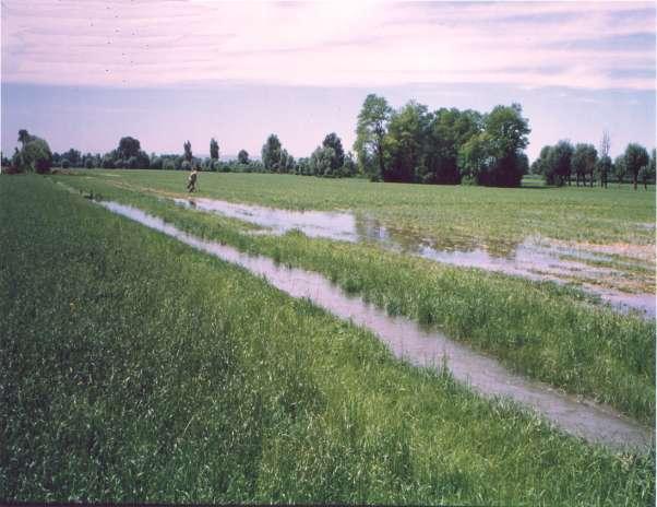 Dispersione da irrigazione a scorrimento solo d estate, aprilesettembre