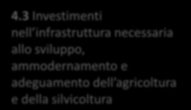 Investimenti in immobilizzazioni materiali 6 Sviluppo delle aziende agricole e delle imprese 7 9 12 Servizi di