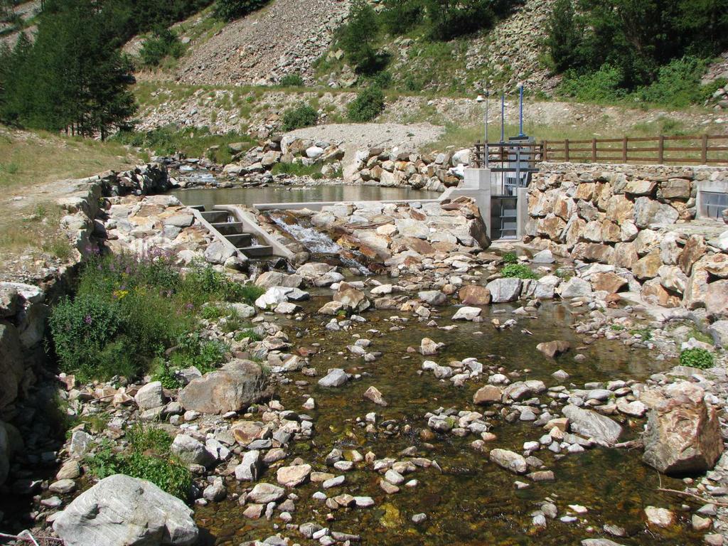 Centralina-tipo: opera di presa scala di risalita per