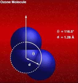 La molecola di ozono ha la struttura O O O I due legami formano fra di loro un angolo di circa 116 o Lo strato di ozono La quantità totale di ozono presente