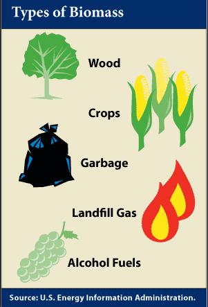 biomassa di origine vegetale