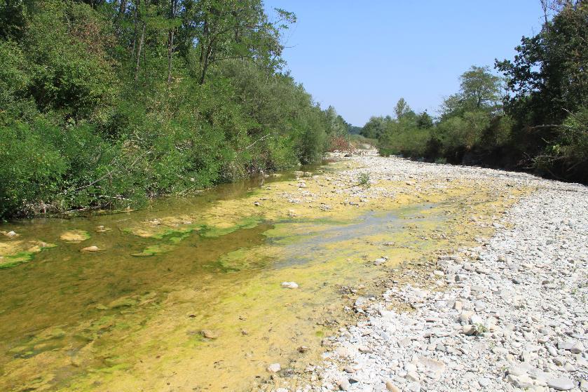 Torrente Stirone (San