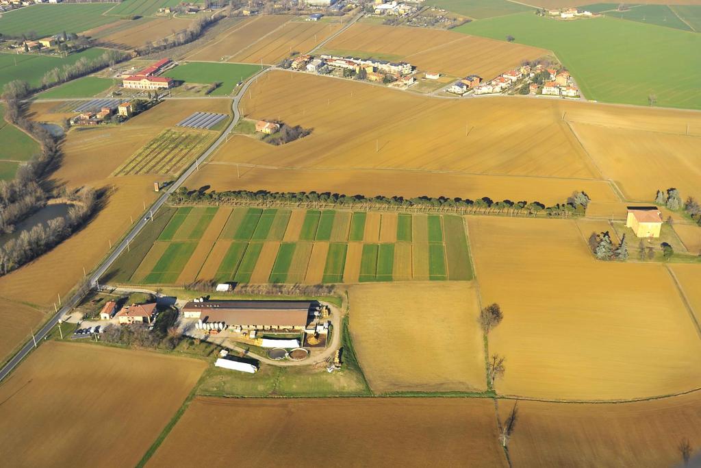 CORSO DI LAUREA MAGISTRALE PROGETTAZIONE E GESTIONE DEGLI ECOSISTEMI AGRO-TERRITORIALI, FORESTALI E DEL PAESAGGIO