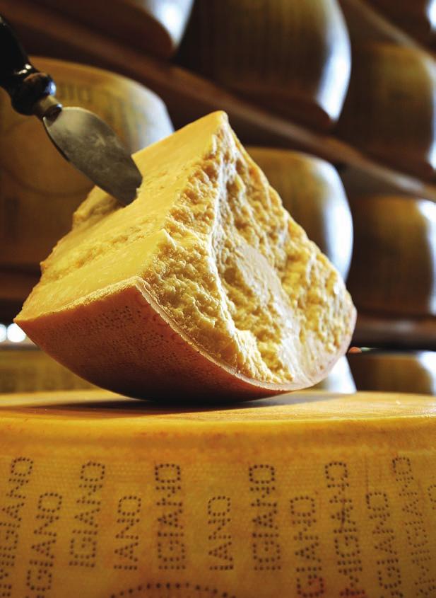 PARMIGIANO