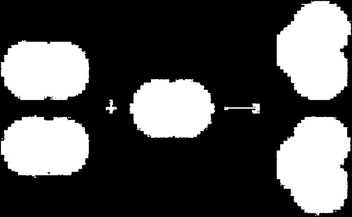 Se la reazione è incompleta si usa il simbolo I numeri a, b, l, m che precedono le formule sono i coefficienti stechiometrici e indicano il numero di ogni specie reagente e di ogni specie prodotta