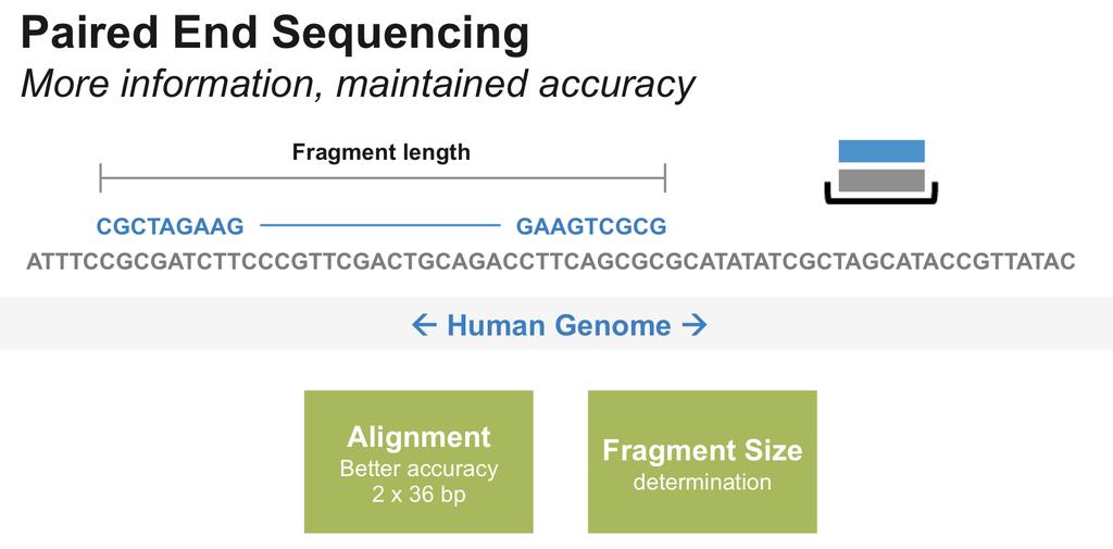 L analisi massiccia di tutti i cromosomi evidenzia le differenze di densità di basi GC per cui è necessario introdurre un Fattore di