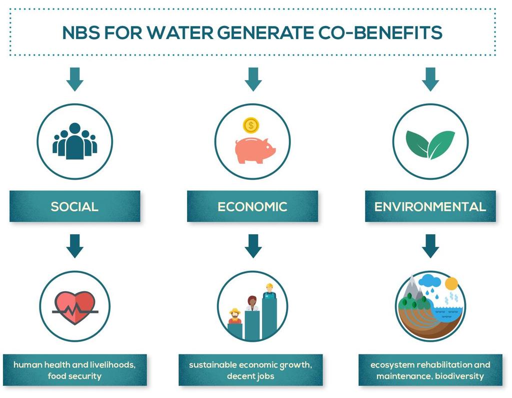 Cobenefits of NBS The substantial value of social, economic and