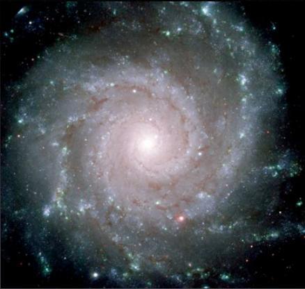 Galassie a Spirale Sono caratterizzate da: sferoidi (bulge) nucleari relativamente piccoli con stelle